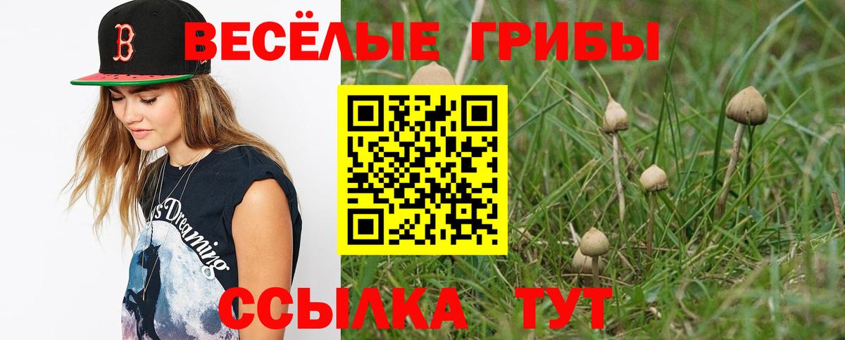 Псилоцибиновые грибы прущие грибы Нефтекамск